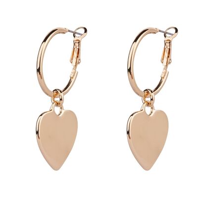 Sweetheart Base Alloy Leaver Earrings DE1057K