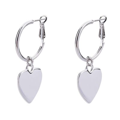 Sweetheart Base Alloy Leaver Earrings DE1057R