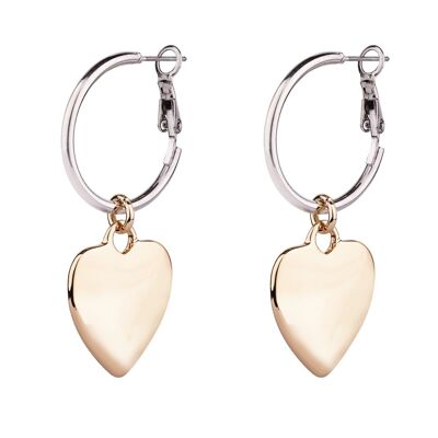 Sweetheart Leaver Earrings DE1057C