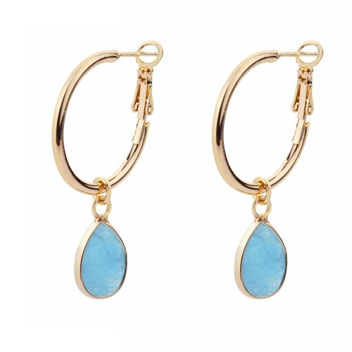 Venus Base Alloy Semi-Precious Stone Crystal Leaver Earrings DE1051B