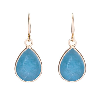 Venus Semi-Precious Stone Hook Earrings DE0999B