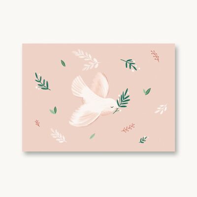 Carte postale colombe - fleurs roses