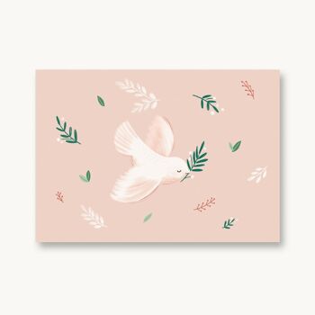 Carte postale colombe - fleurs roses 1