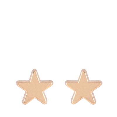 Eternal Stud Earrings DE0402K