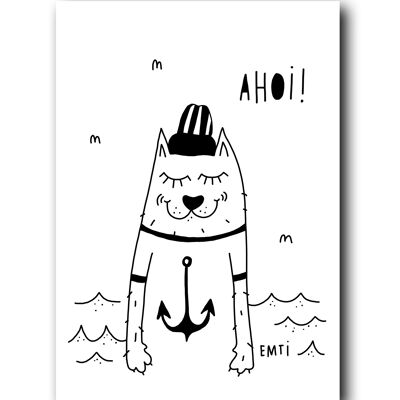 Ahoy cat