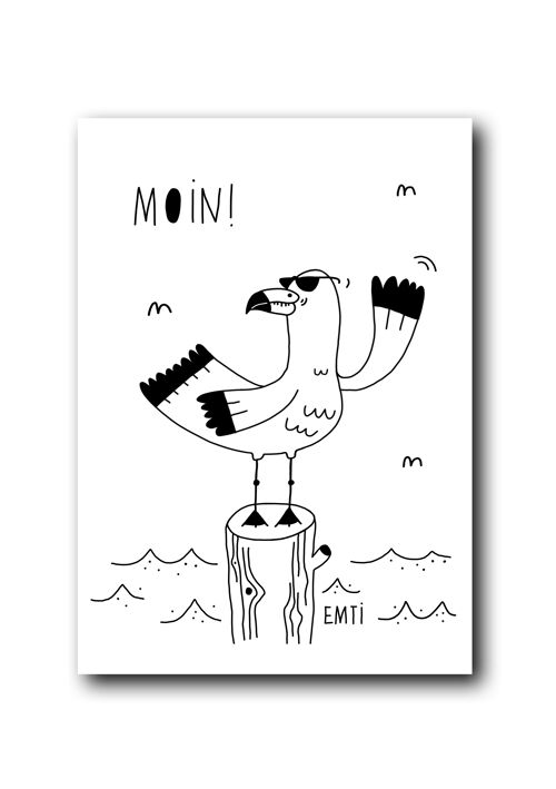 Moin Möwe