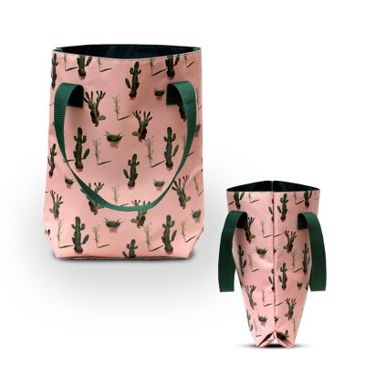 Comprador de cactus