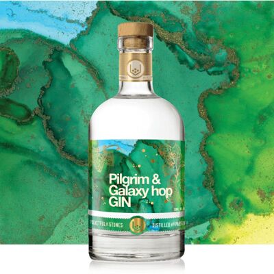 Pilgrim & Galaxy Hop Gin