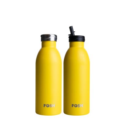 Insulated Reusable Bottle - Zest 500ml Vital 2.0