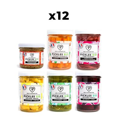 Pack Pickles (6x12 productos, incluidas muestras gratuitas)