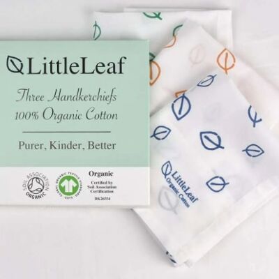 Organic handkerchiefs in a box, Leaves