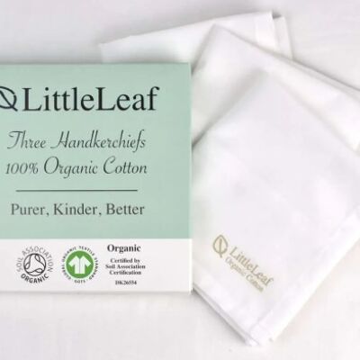 Organic handkerchiefs in a box, Plain White