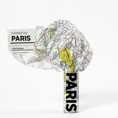 Zerknitterter Stadtplan - PARIS