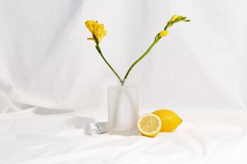 Liquide vaisselle rechargeable - citron 2