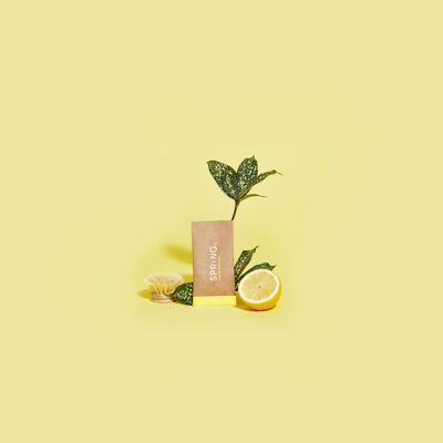 Recharge Liquide Vaisselle - Citron