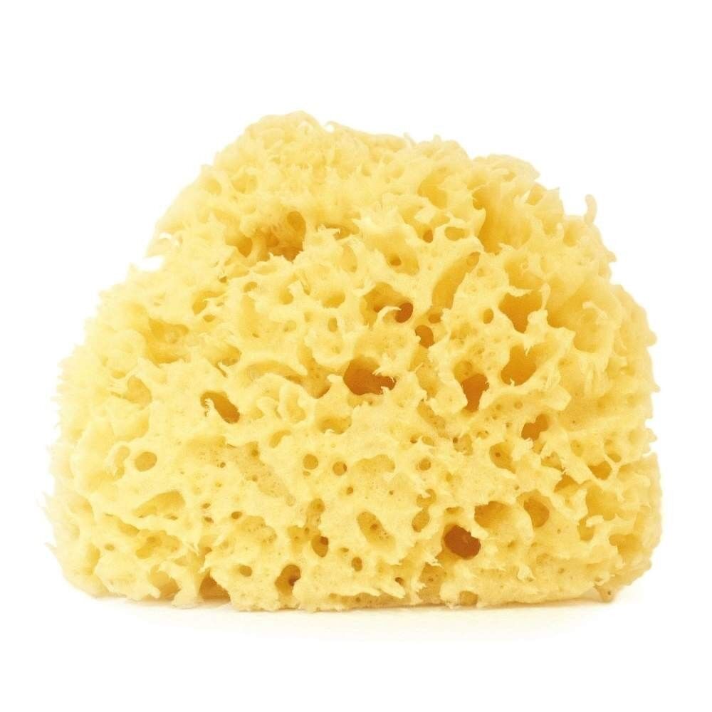 Bleached Archipelago 18/20 gr