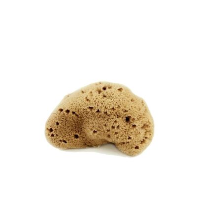 Fine Dama Lavata VISO 4/5 gr - S