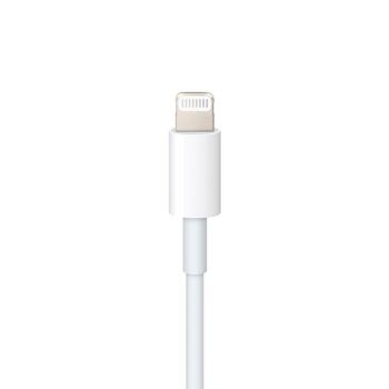 Céble USB-C vers Lightning (1 m) 2