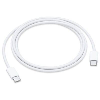 USB-C charging cable (1m)