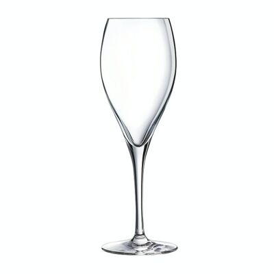 Oenologist - flutes 26 cl
