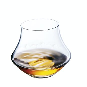 Warm - Coffret 2 verres à dégustation whisky 2