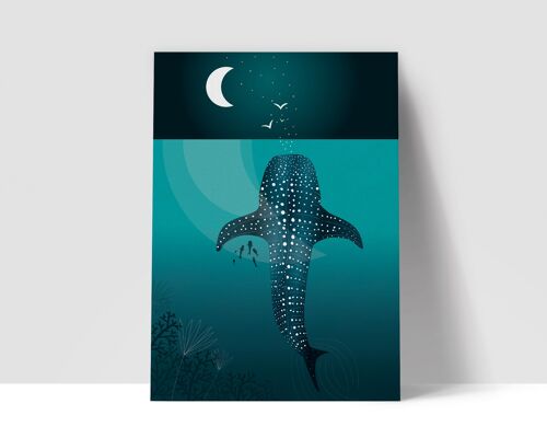 Affiche Requin Baleine