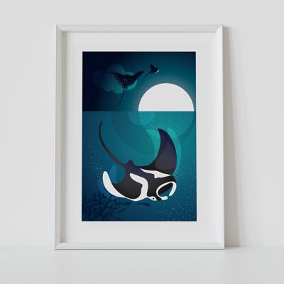 Manta Ray Poster