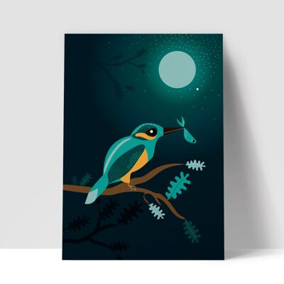 Kingfisher Poster