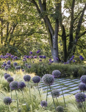 Jardins de l'année 2023. Les 50 plus beaux jardins privés 9