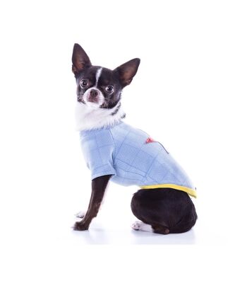 Groc Groc Nun Star T-shirt à chevrons pour chien 1