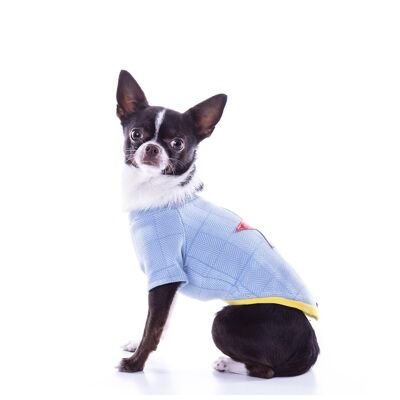 Groc Groc Nun Star T-shirt à chevrons pour chien