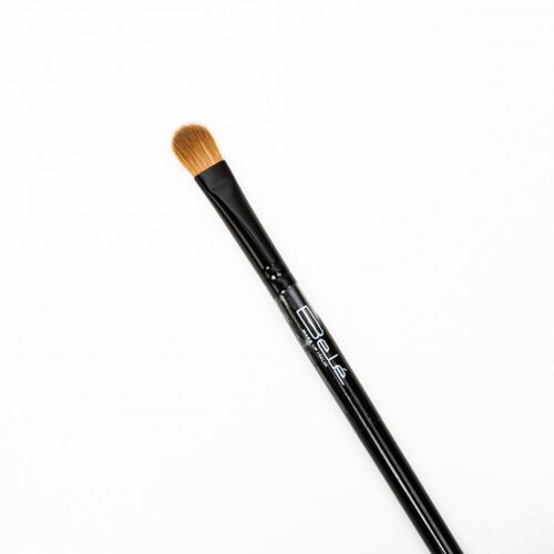 EYE BRUSH 10