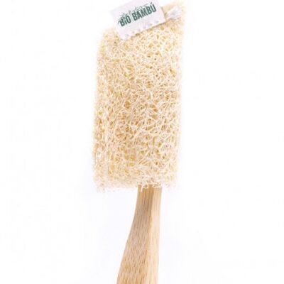 BioBambú luffa protective cover for toothbrush