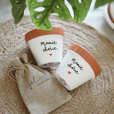 Flower pot, “Darling Grandma ♥” flower pot, Grandmother’s Day, Grandma gift