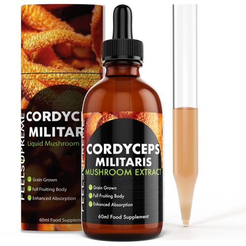 Cordyceps Militaris Mushroom Liquid | High Strength Tincture for Stamina and Respiratory Health | 60ml