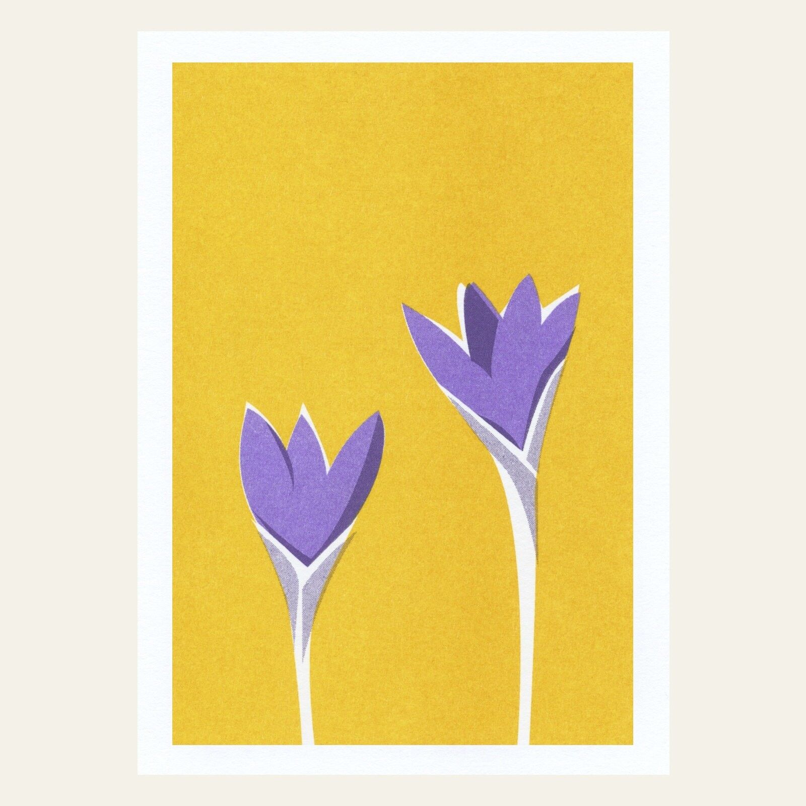 Cartolina risografica – Crocus – DIN A6