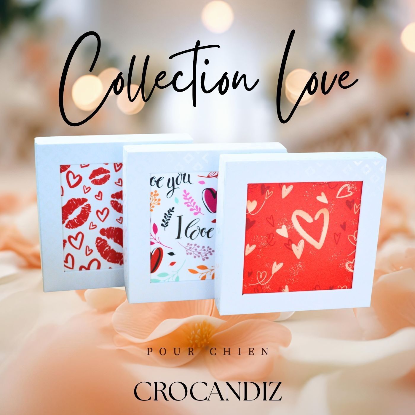 Biscotti per cani - scatola d'amore di lusso