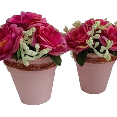 Set of 2 rose pots