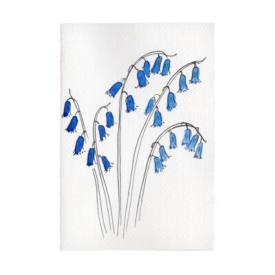 Bluebells Card