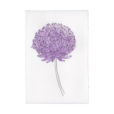 Charleston Collection Card - Aster