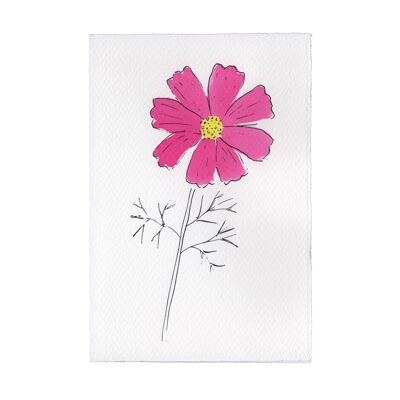 Charleston Collection Card - Cosmos