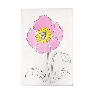 Charleston Collection Card - Oriental Poppy
