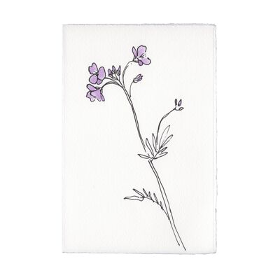 In The Meadow Card - Cuckoo Flower