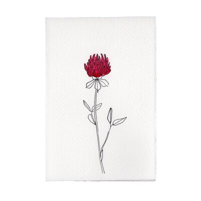 In The Meadow Card - Red Clover