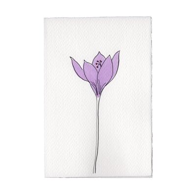 In The Meadow Card - Autumn Crocus