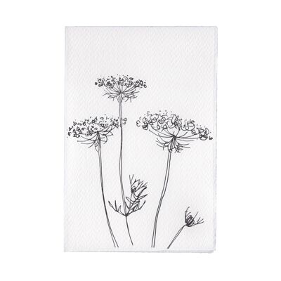 In The Meadow Card - Queen Anne's Lace