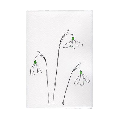 In The Meadow Card - Snowdrops