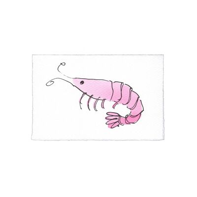 Shrimp Greetings Card