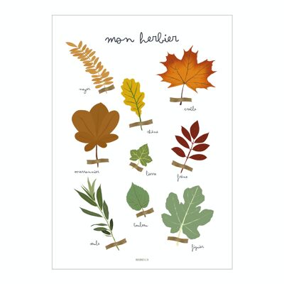 Affiche “Mon Herbier” Feuilles D’Automne