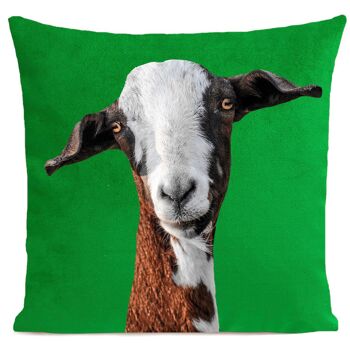 Coussin chèvre campagne polyester 40x40cm / 60x60cm 5